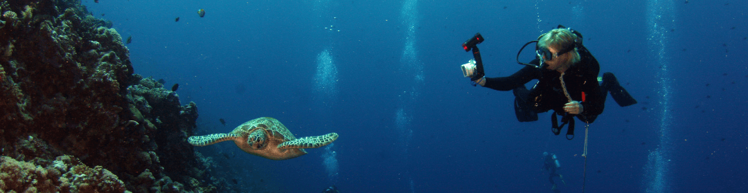 Padang bai