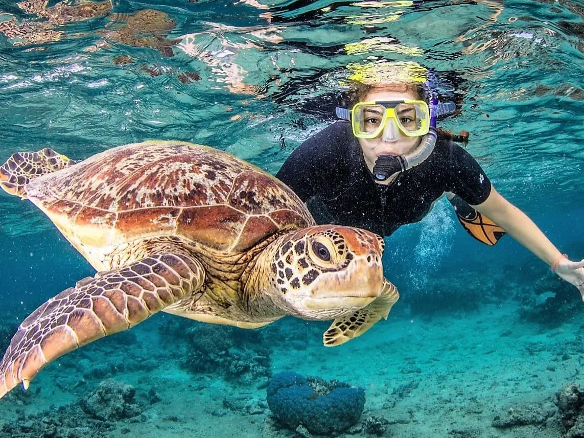 snorkeling