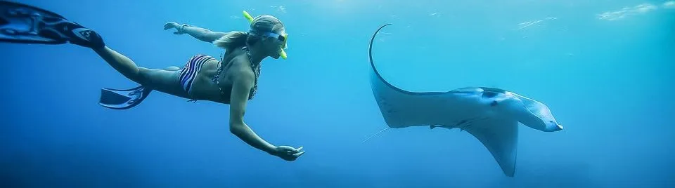 snorkeling