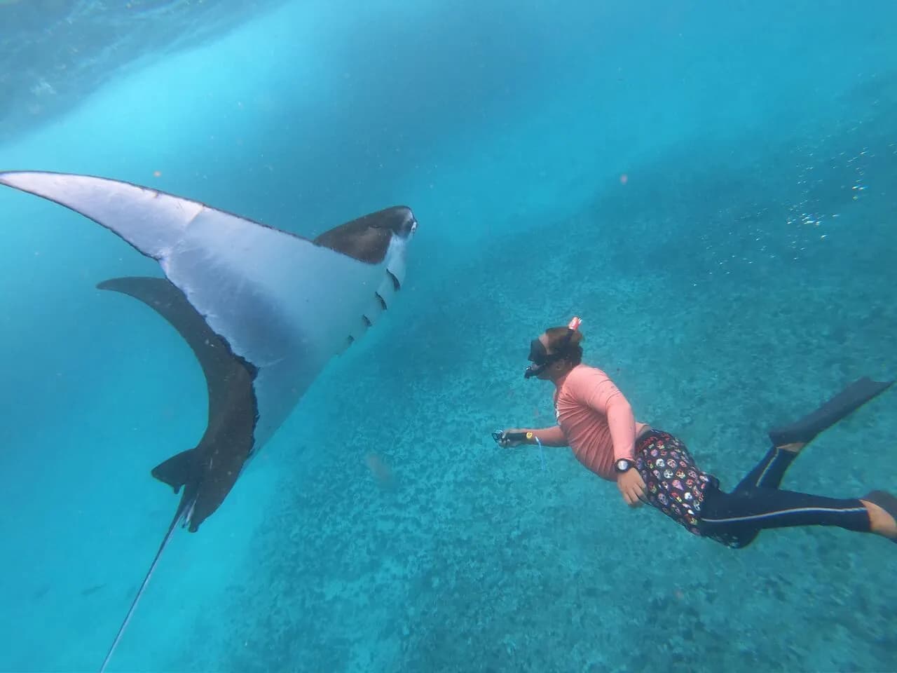 snorkeling