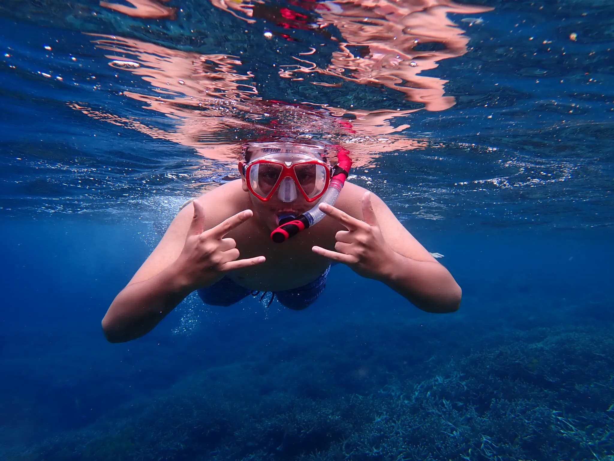 sea diving bali category snorkeling